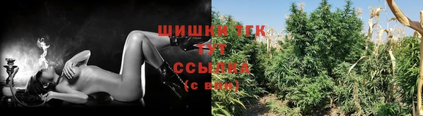 СК Кодинск