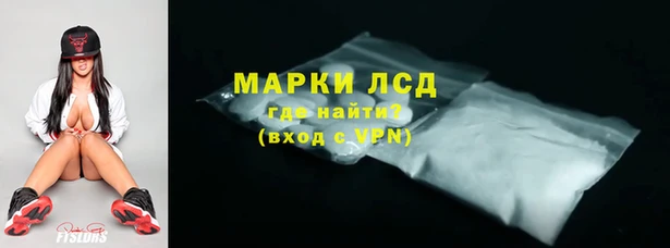 СК Кодинск