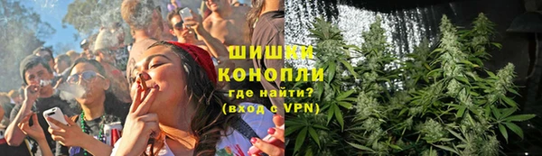 СК Кодинск